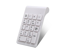 Teclado numérico portátil Everley891