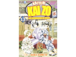 Libro Katteni Kaizo,13 de Kohji Kumeta (Español)