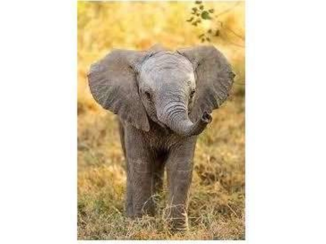 Puzzles CLEMENTONI 104 Wwf Pequeño Elefante