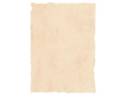 Papel pergamino Michel Beige A4 25 Unidades