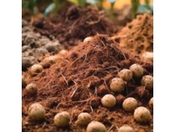 Sustrato hidropónico | 70 g de fibra de coco, 30 g de cáscara de arroz | Bolsa de 15 l | Vetonek