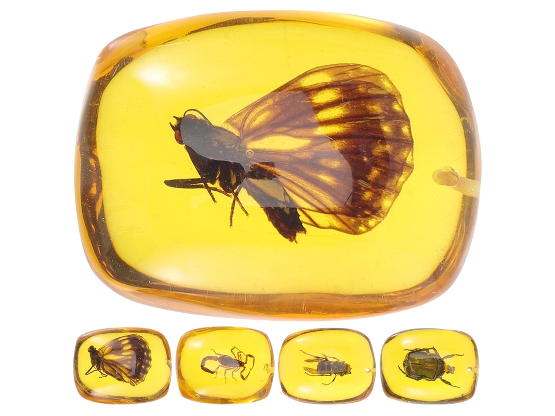 Conjunto de 5 colgantes cuadrados que representan especímenes de insectos, en ámbar natural y resina transparente. SFUSHOS
