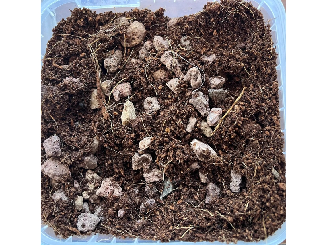 Sustrato básico para plantas acidófilas | Big Bag 1000 L | Vetonek