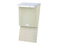 Jogo de Mesa ESSCHERT DESIGN Bat Box (3 Anos)