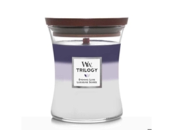 Vela perfumada Trilogía Clessidra, tamaño mediano, 275 g, 90 horas de combustión, mecha de madera