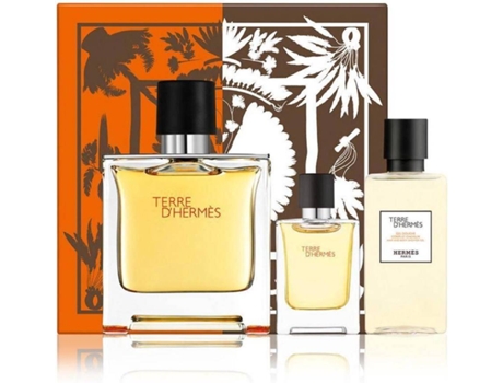 Perfume TERRE D'HERMES Eau de Parfum (75 ml)