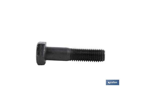 Din-931 c-12.9 m-22 x 160 n