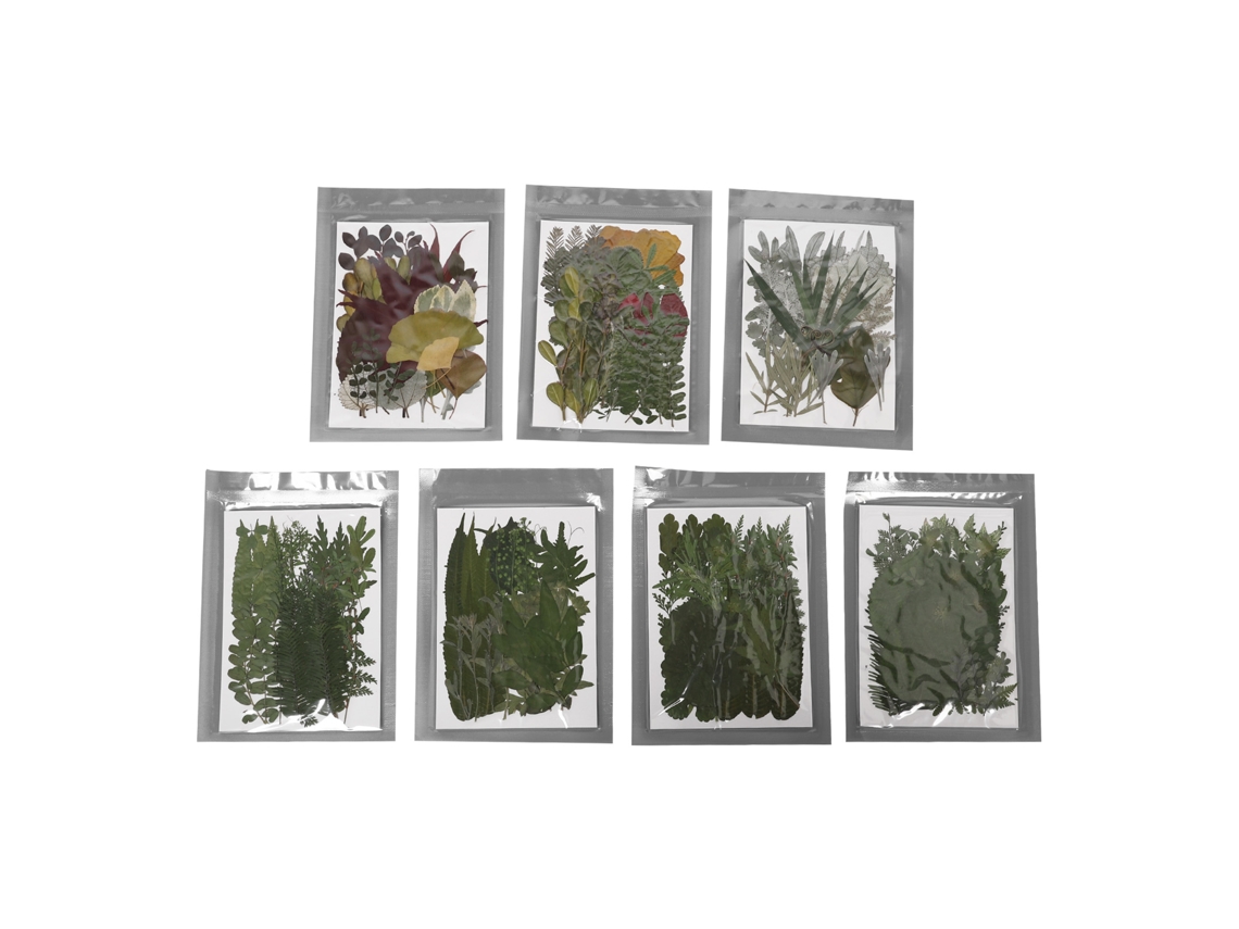 Kit De Flores Secas Prensadas Naturales Para Manualidades, Joyería, Invitaciones Y Regalos - 245 Piezas