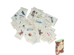 2026-set De Cartas Oracle Para Principiantes: Baraja De Divinación Y Orientación, Juego De Fiesta Y Regalo