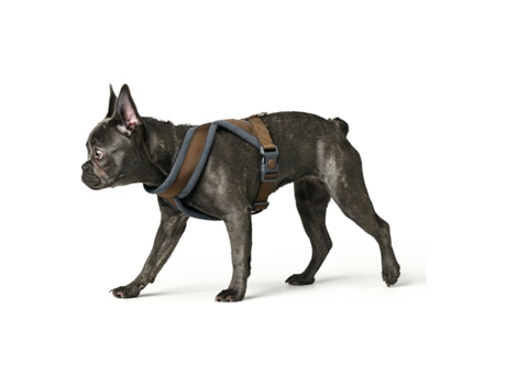 Arnés para Perros HUNTER (15.16 x 1.73 x 19.77 cm - Multicolor)