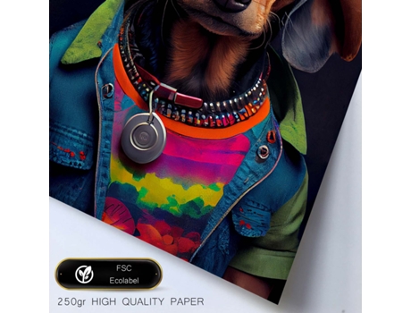 NACNIC Lámina Dachshund Compasivo En Estilo Fotografía A Todo Color. Divertidas Ilustraciones Realistas De Animales Con Ropa Humana A3.