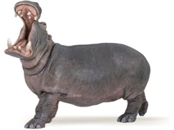 Figura PAPO Hipópatamo