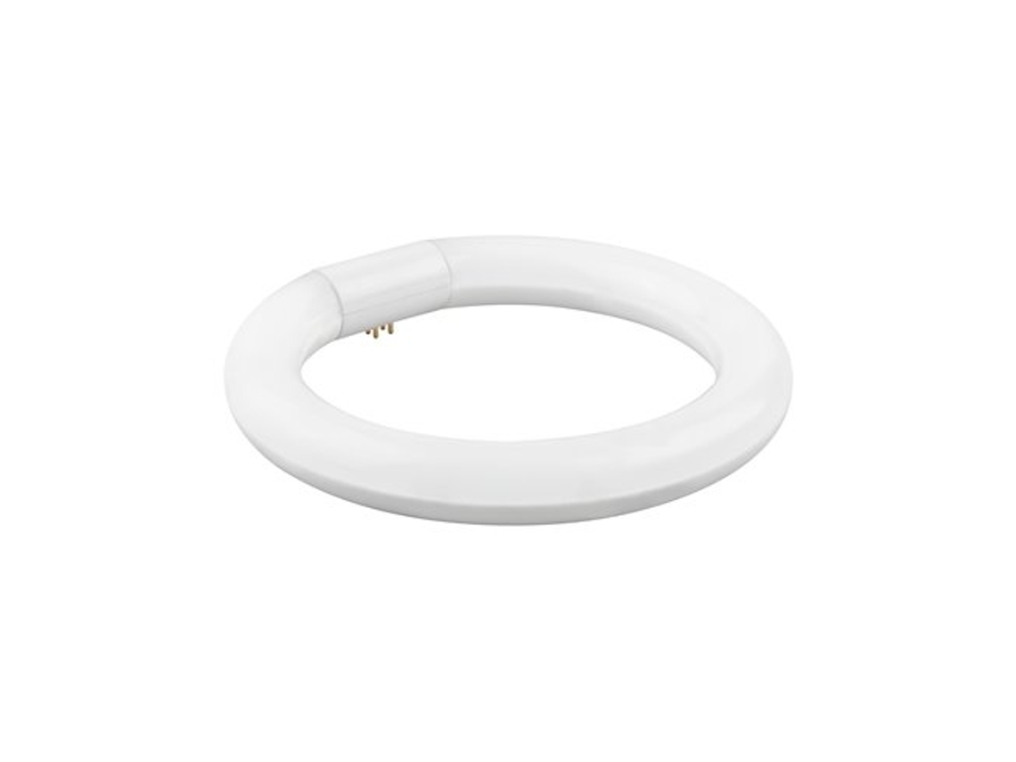 Fluorescente LED Circular 40cm 32w Frío Mate