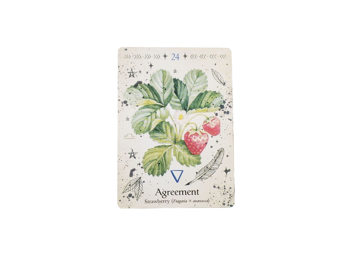 Nuevo Juego De Cartas Oráculo De La Bruja Verde Oráculo De La Planta Verde - Popular