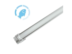 Barra Led Profresh 9W 56cm Pescadería Frío LEDBOX