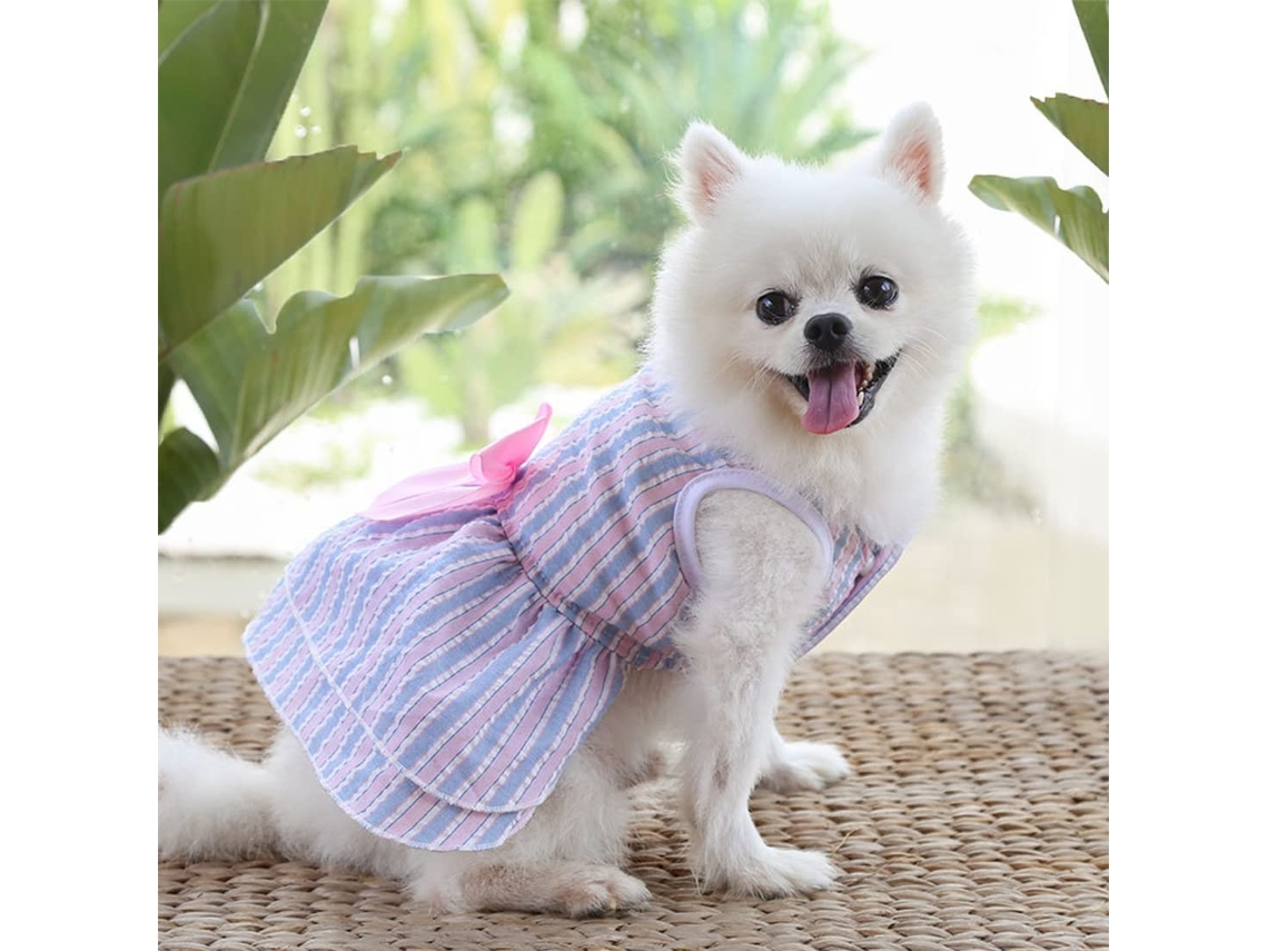 Pequeños perros niña verano lindo mascota cachorro vestido