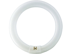 Lámpara Fluorescente PHILIPS Master TL-E Circular 22W G10Q Luz fria B
