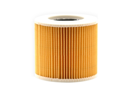 Elemento filtrante de cartucho para Karcher Wd 3.500 P, A1000, A1001, Mv2, Mv3 K 2000 K 2150 K 2301, K 2901 F, K 4000 Te Kit de chimenea