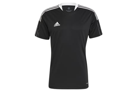 Sudadera con Capucha de Hombre para Fitness UNDER ARMOUR Rival Terry Azul (XS)