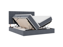 Maison Exclusive - Cama De Almacenamiento Led Con Colchón Gris Oscuro 180 X 200 Cm