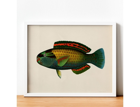 Póster NACNIC de Pez Verde Rojo Azul Amarillo en , Fondo Papel Vintage.