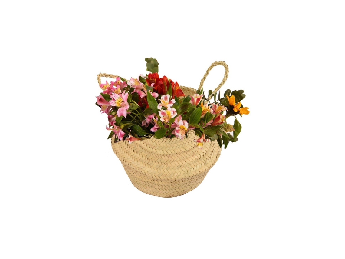 Cesta De Mimbre Cubremaceta – Canasta Multiusos Decorativa Para Plantas Y Almacenaje Pequeña