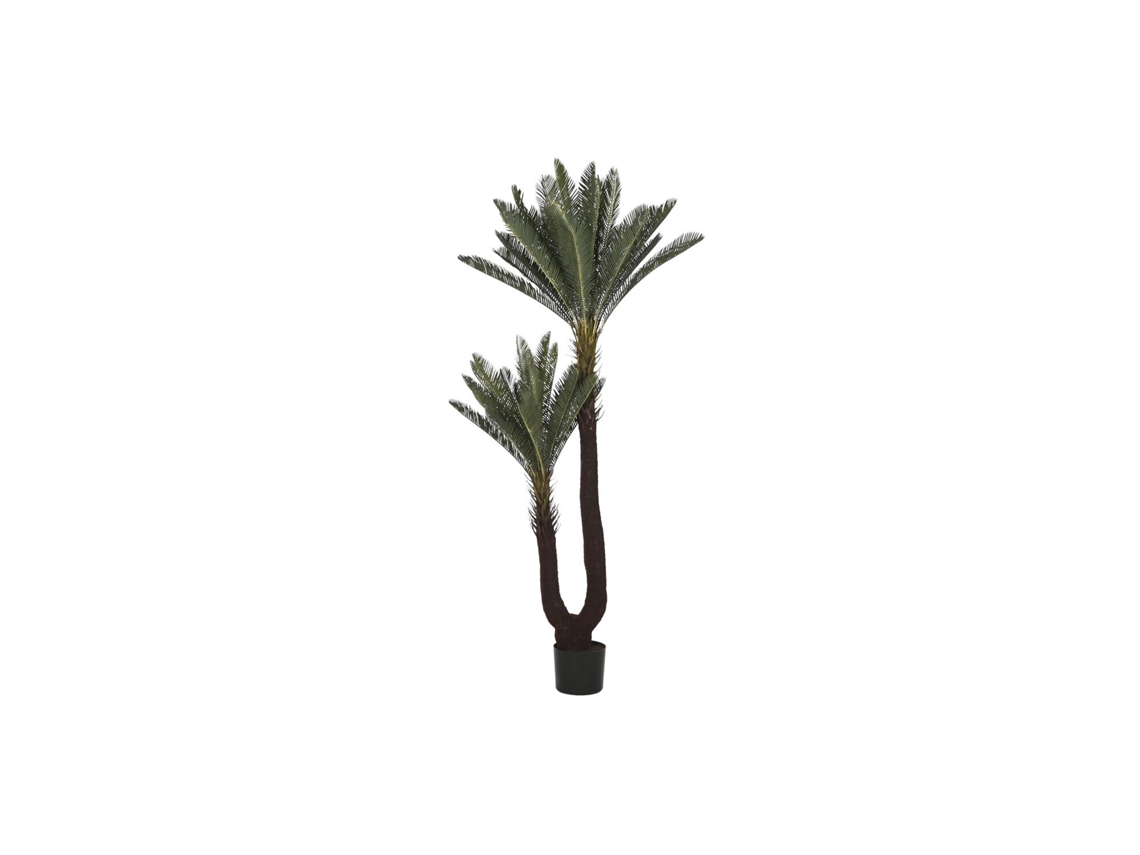 Planta Pe Sago Cycas Verde 80x80x170cm