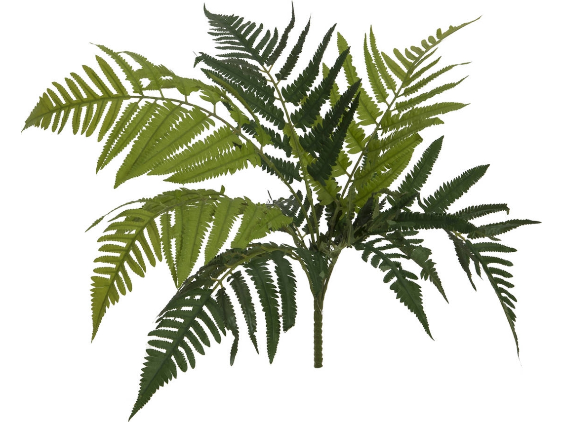 Planta Artificial EUROPALMS Lady Fern (60cm)