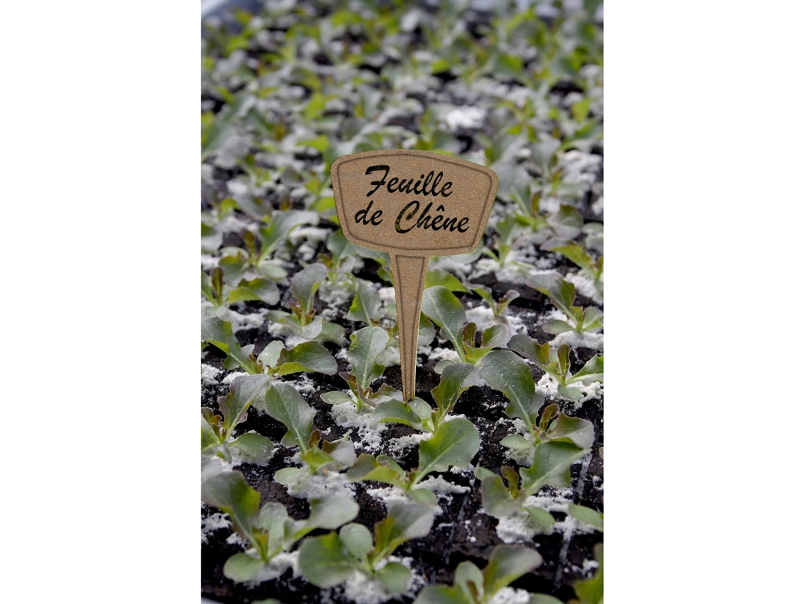 Pack 5 Etiquetas De Plantación 30 Fibra Eco - Calidad Y Versatilidad