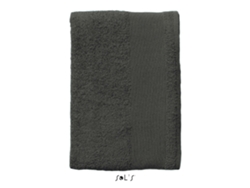 Toalla de Playa Unisex SOL'S Multicolor (Tu)
