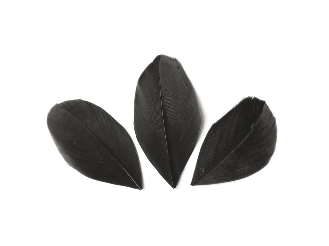 50 plumas cortadas de 60 mm - Negro