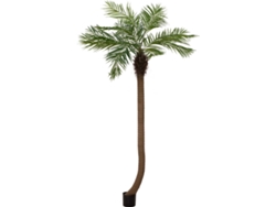 Planta Artificial EUROPALMS Phoenix Palm Luxor Curved (Verde - 240 cm)