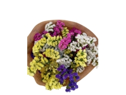 Ramo Natural Siempreviva | 10 Tallos | Hojas Naturales De Statice Para Decoración 10 Tallos