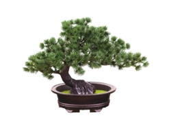 XYVONA Plantas Artificiais Pequenas Para Decoração De Mesa De Escritório, Banheiro, Quarto E Sala De Estar.