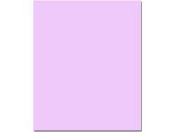 Cartulina Rosa (50 x 65 cm - 1 Unidad - 250 g/m²)