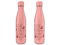 Botella de Outdoor PYRAMID Disney Princess Metal (550 ml)