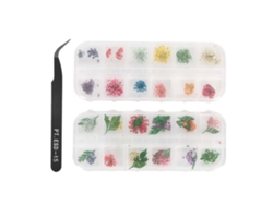 Diseño de uñas Rebe con flores secas, accesorios de manicura DIY, arte de uñas.