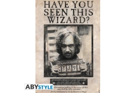 Póster GENER Harry Potter Have You Seen This Wizard
