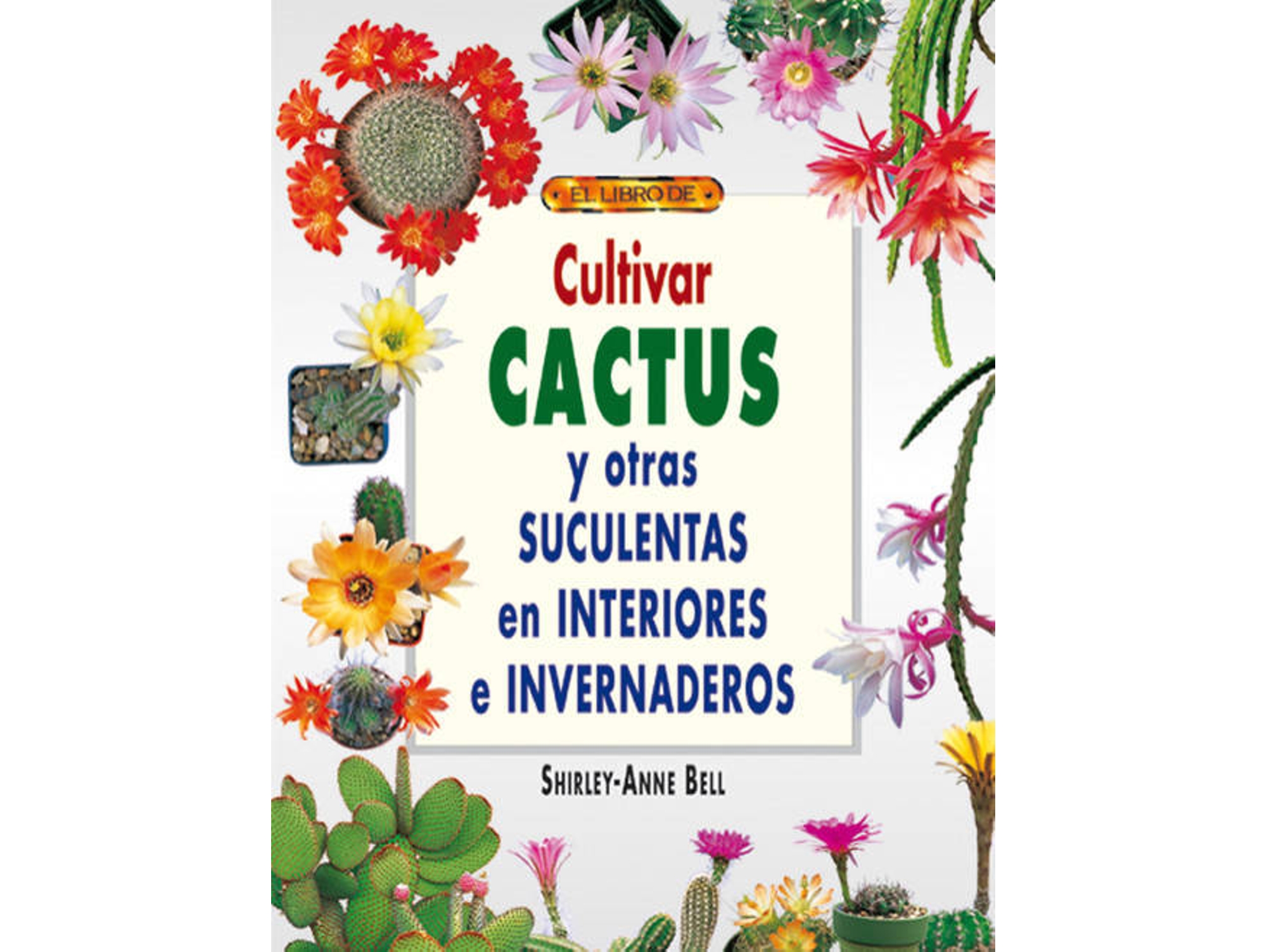 Libro Cultivar Cactus Y Otras Suculentas En Interiores E Invernaderos de Shirley-Anne Bell (Español)