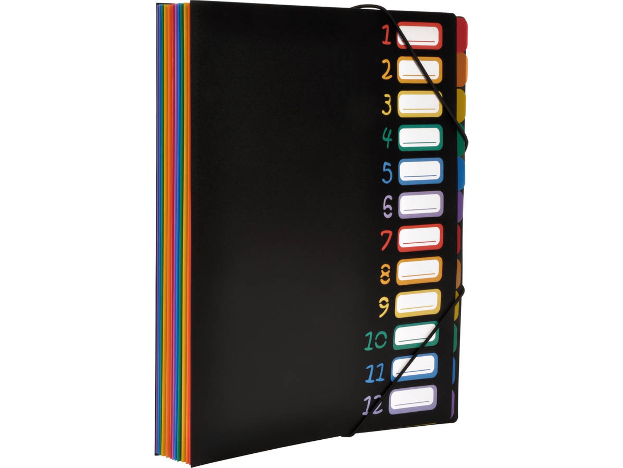Carpeta VIQUEL Multicolor (A4 - Polipropileno)