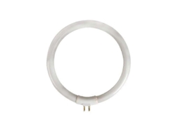 Tubo Fluorescente Circular T4 12w 6500k 720lm Blanco Frío Para Vtlamp10