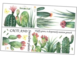 Adhesivos Decorativos De Pared Con Imágenes De Cactus Y Suculentas Delicadas Para Dormitorio O Sala