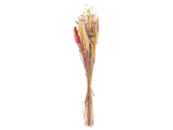 Ramo de flores secas BELIANI Pampeluna de Flores secas Natural 15x10x65