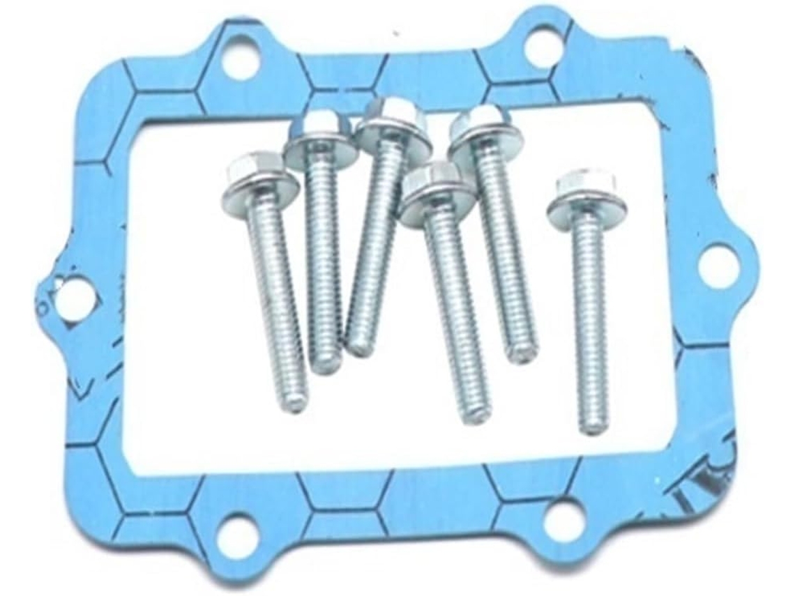 Kit De Válvulas Láminas Para Rendimiento Motocicleta Bicicleta