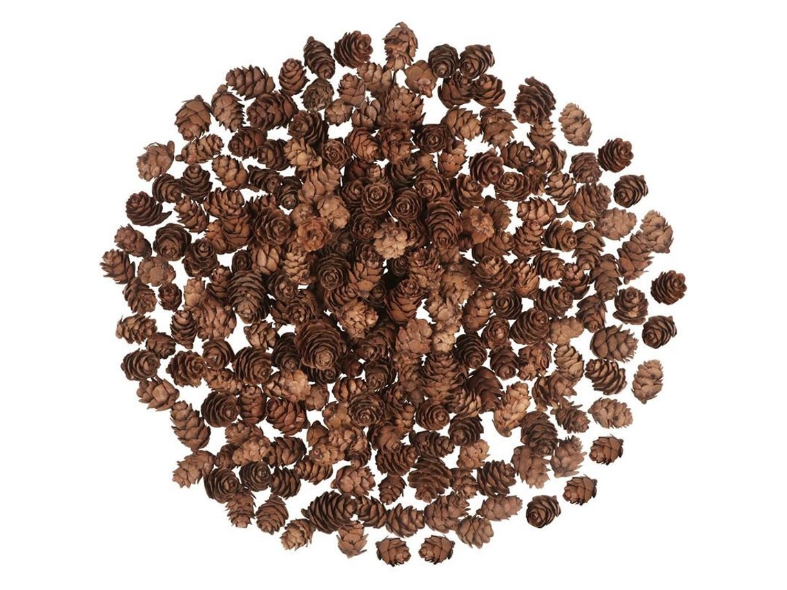 200 Mini Piñas Naturales, Adornos Navideños Y De Acción De Gracias.
