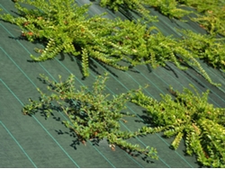 Agrotextil - Verde - 130gr/m - 3.30m x 100m MAILLE STORE
