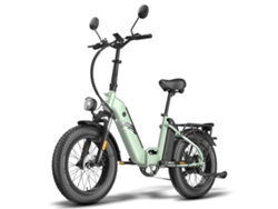 Bicicleta Fafrees FF20 Polar, motor de 500 W, batería de 48 V y 13,4 Ah, neumáticos de 20 pulgadas, frenos de disco mecánicos, color verde