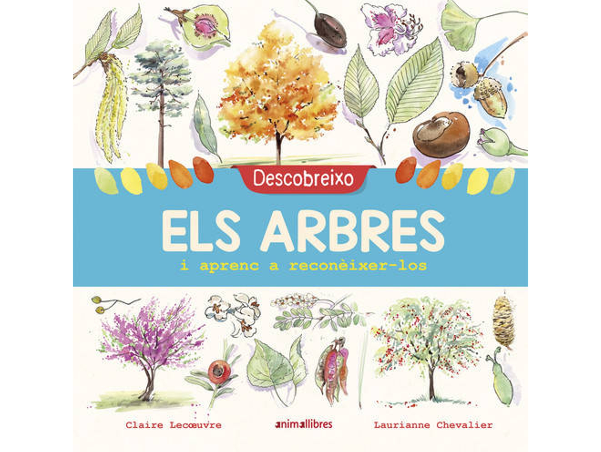 Libro Descobreixo Els Arbres I Aprenc A Reconèixer-Los de Claire Lecoeuvre