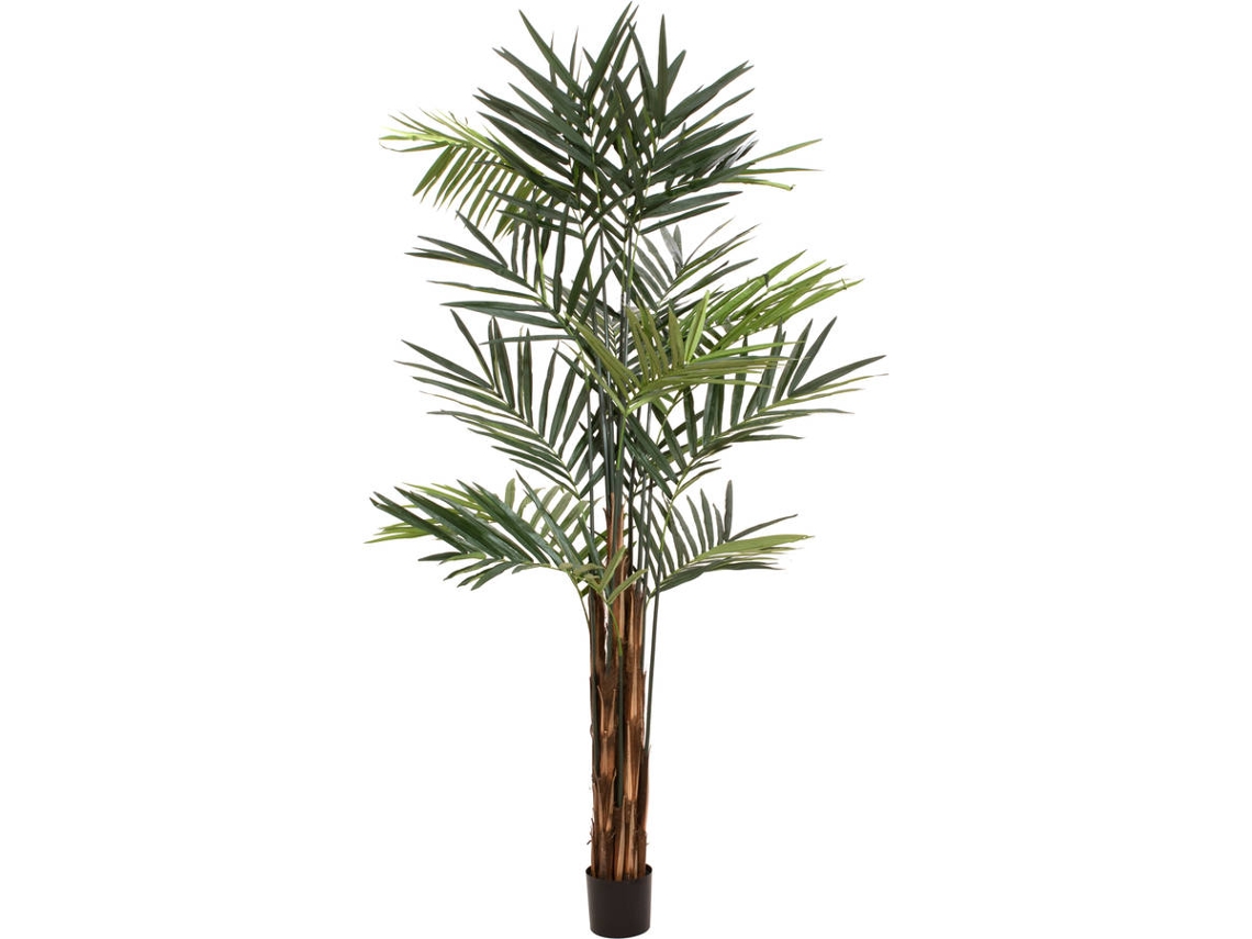 Planta Artificial EUROPALMS Kentia Palm (Verde - 300 cm)