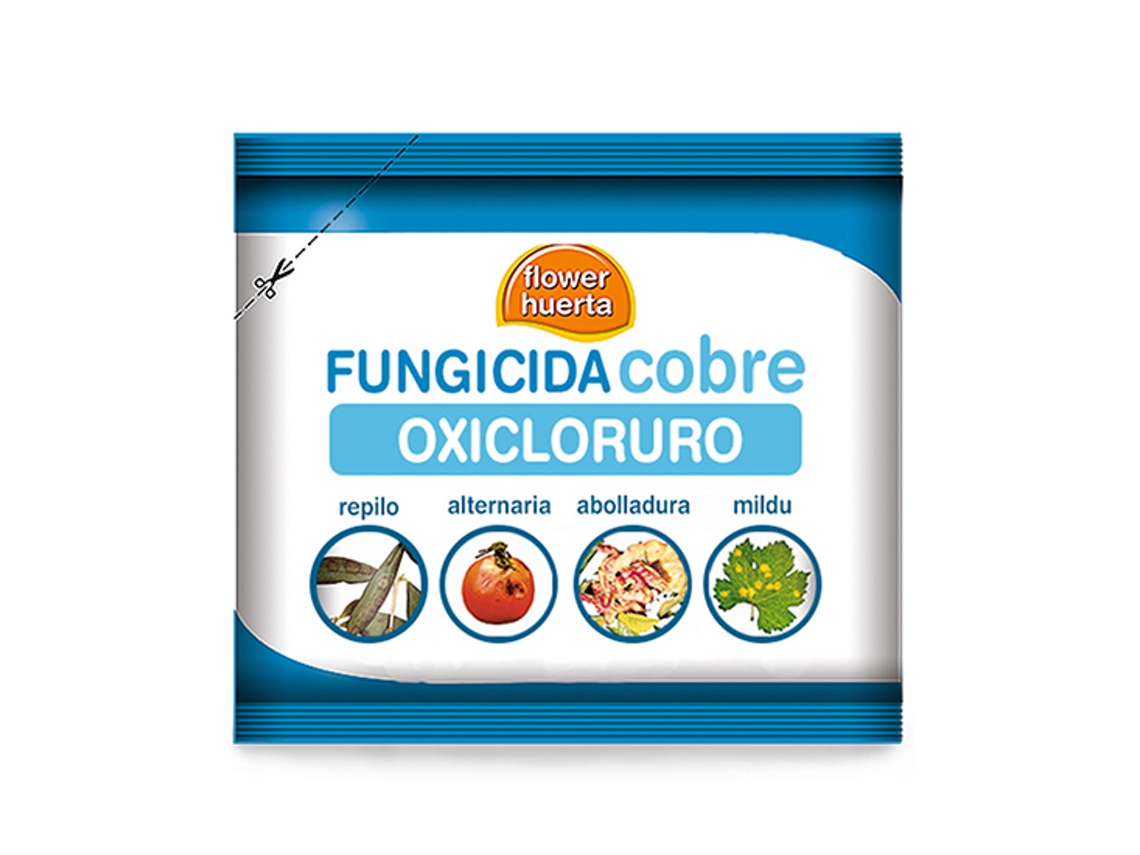 FUNGICIDA COBRE OXICLORURO WP 50 GR EXP